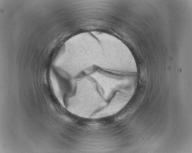 X0000077370547200611171951