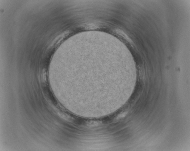 X0000077370549200611171951