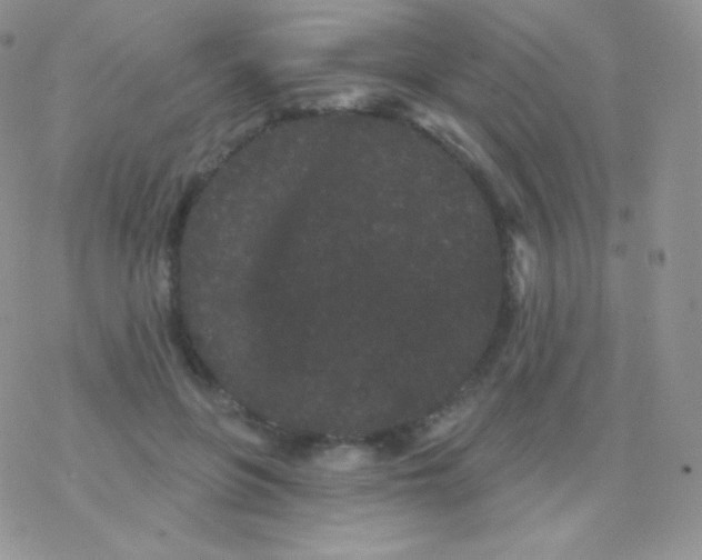 X0000077370551200611171951