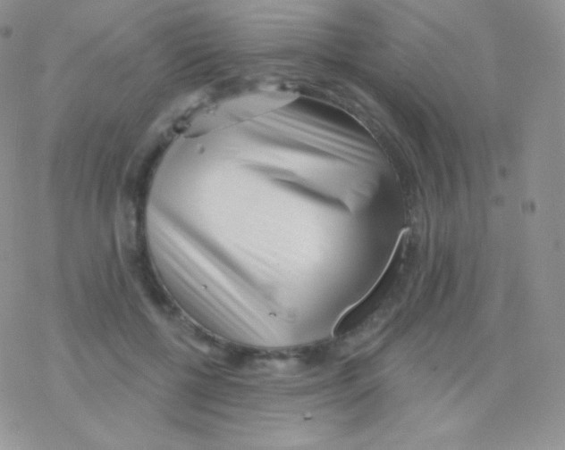 X0000077370552200611171951