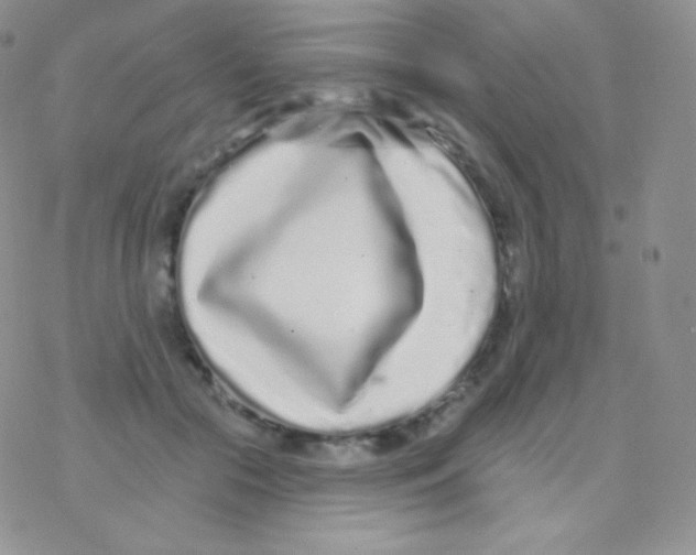 X0000077370553200611171951