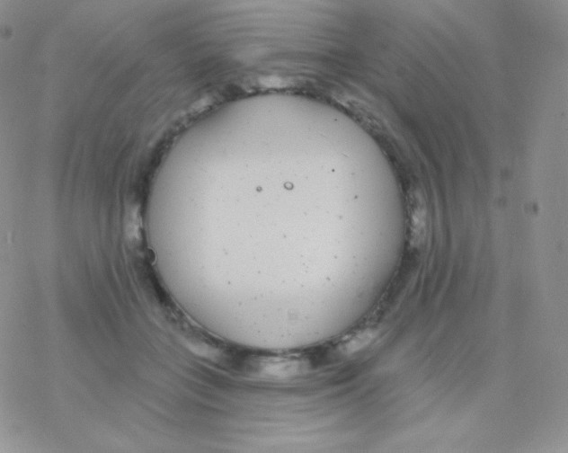 X0000077370555200611171952