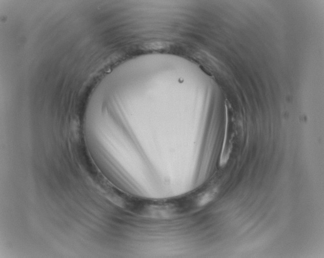 X0000077370556200611171952