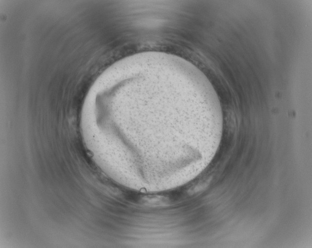 X0000077370557200611171952