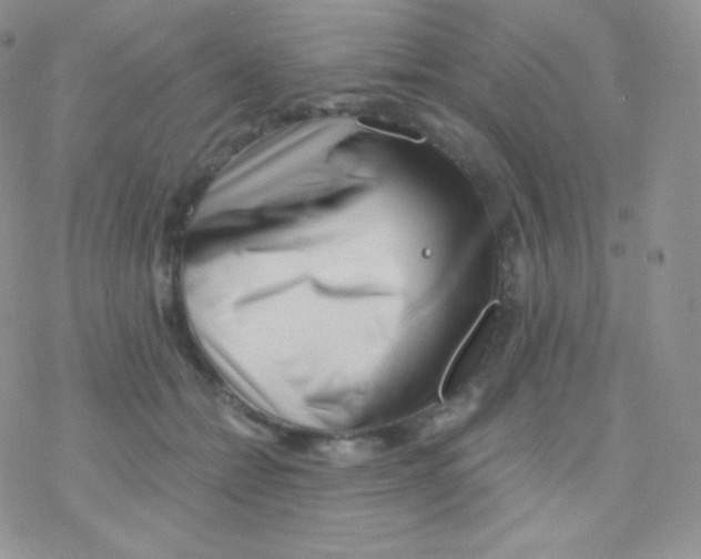 X0000077370558200611171952