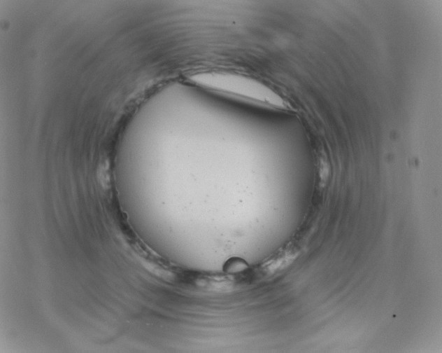 X0000077370559200611171952