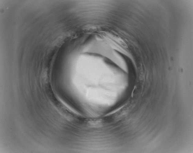 X0000077370560200611171952