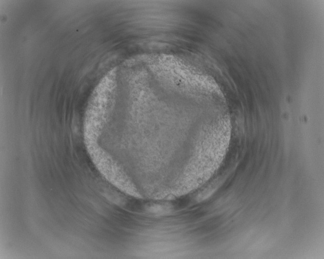 X0000077370561200611171952