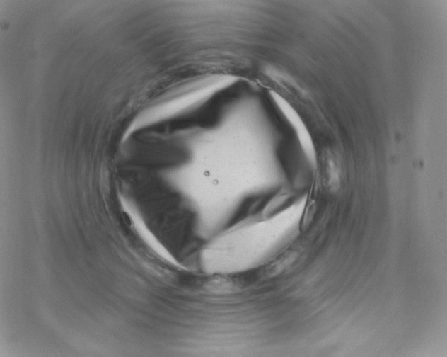 X0000077370562200611171952