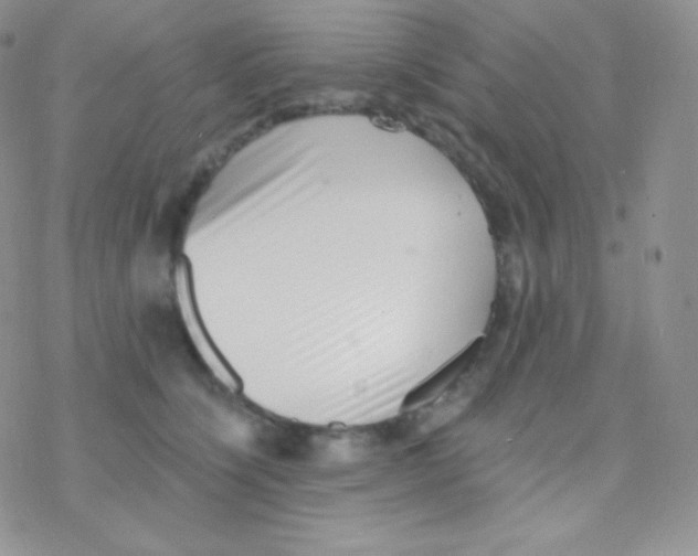 X0000077370564200611171952