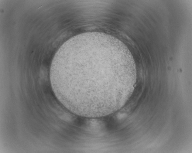 X0000077370565200611171952