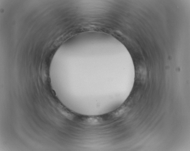 X0000077370566200611171952