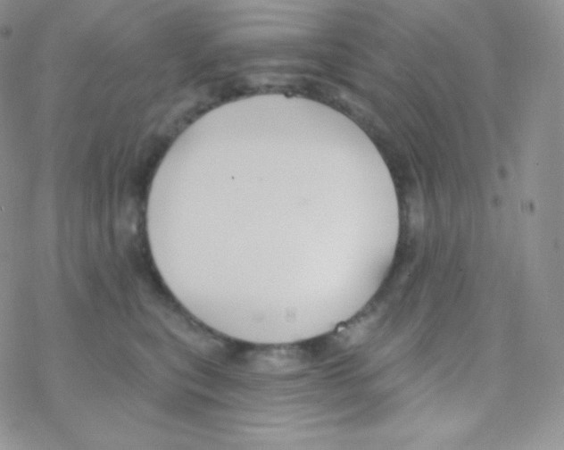 X0000077370567200611171952