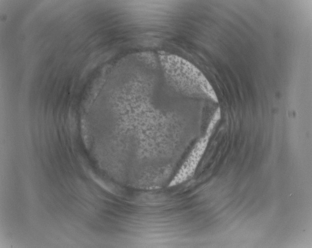 X0000077370568200611171952