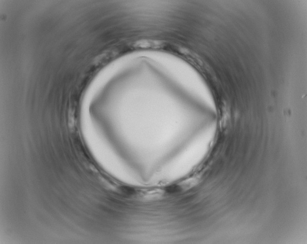 X0000077370569200611171952