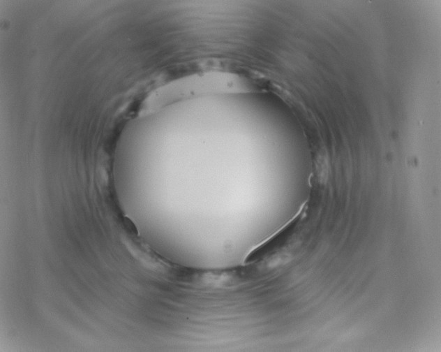 X0000077370570200611171952