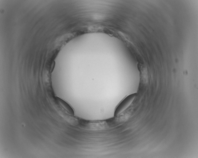 X0000077370571200611171952