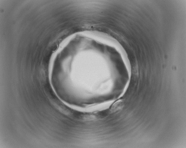 X0000077370572200611171952