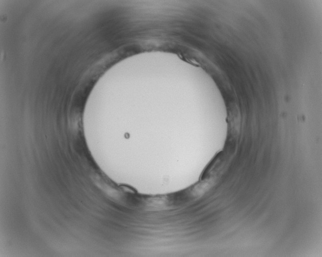 X0000077370574200611171952