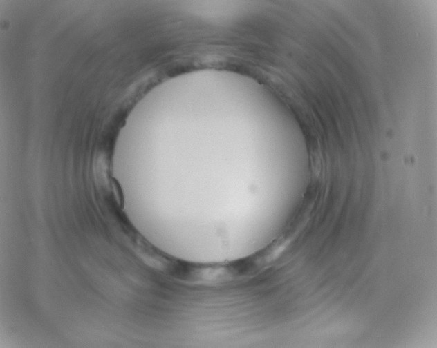 X0000077370575200611171952