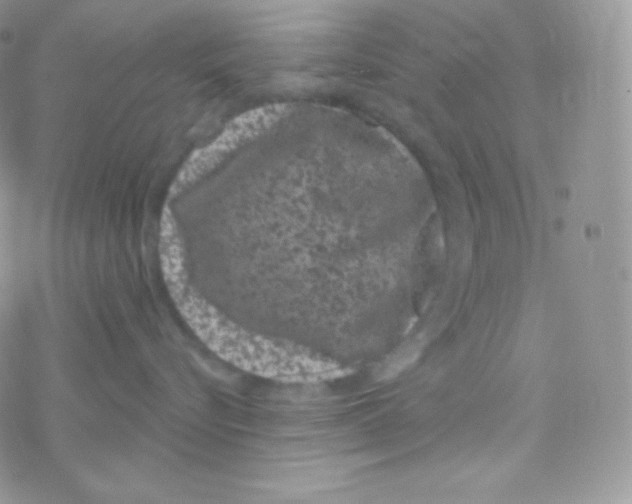 X0000077370576200611171952