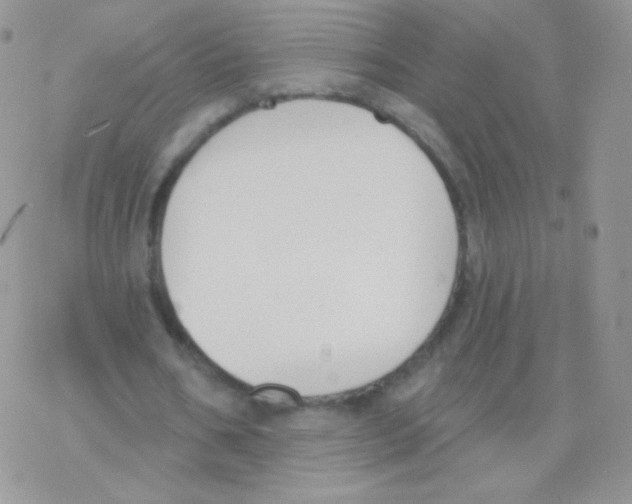 X0000077370578200611171951