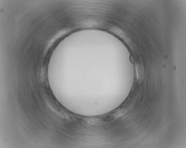 X0000077370579200611171951