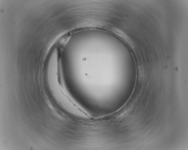 X0000077370580200611171951