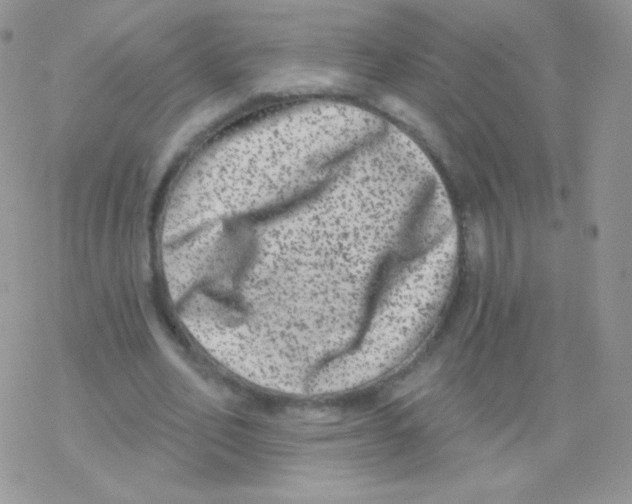 X0000077370582200611171951