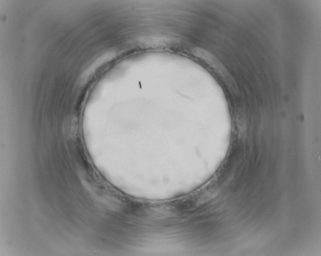 X0000077370583200611171951