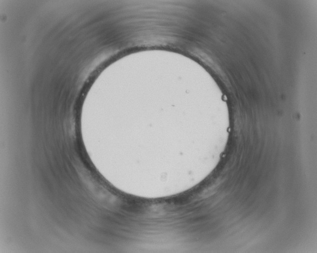 X0000077370584200611171951