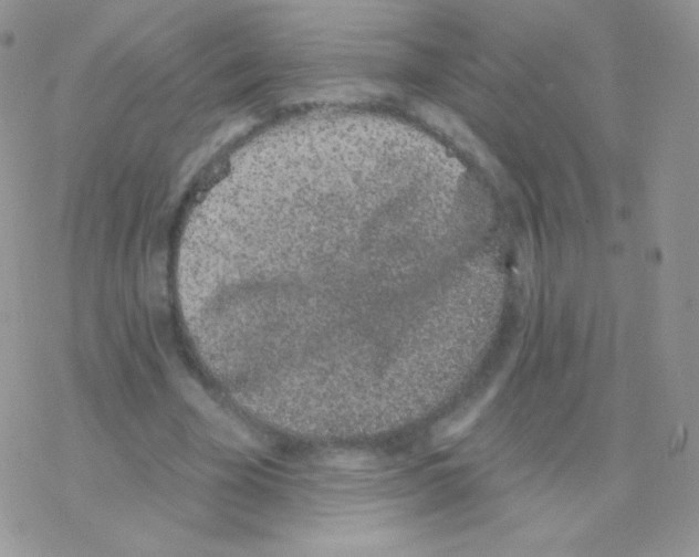 X0000077370585200611171951