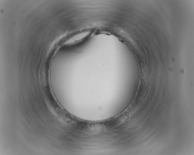 X0000077370587200611171951