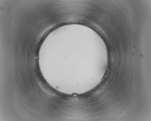 X0000077370588200611171951