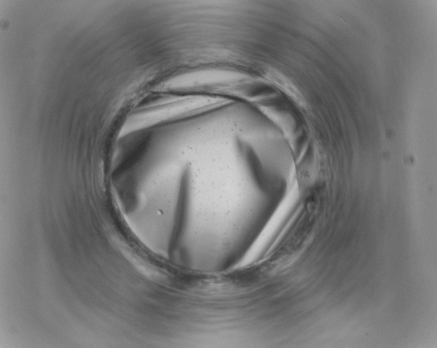 X0000077370589200611171951