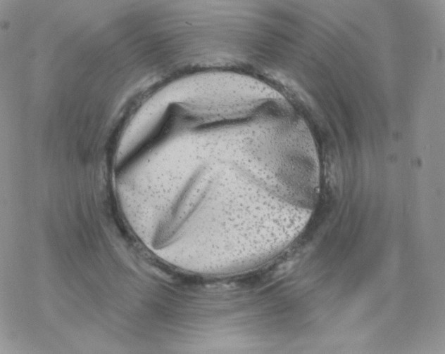 X0000077370591200611171951