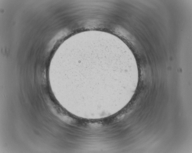 X0000077370592200611171951