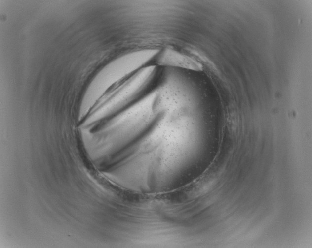 X0000077370593200611171951