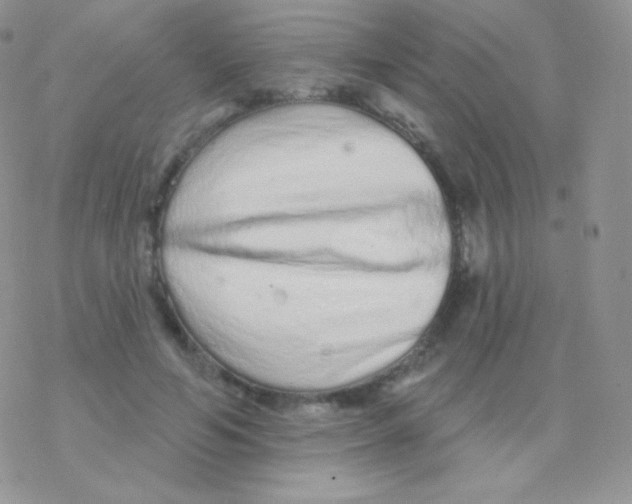 X0000077370594200611171951