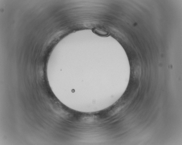 X0000077370595200611171951