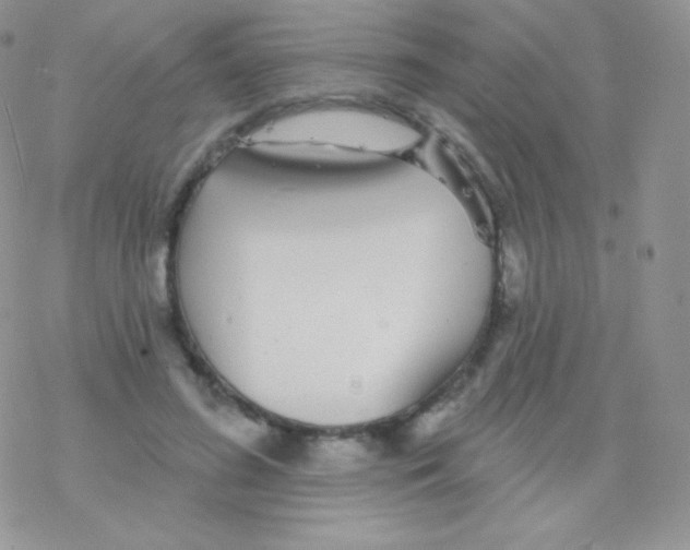 X0000077370596200611171951