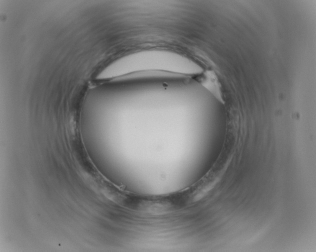 X0000077370597200611171951