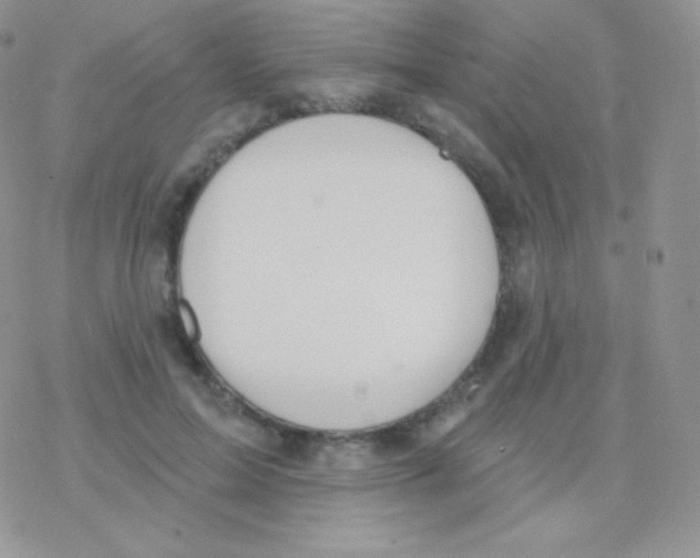 X0000077370599200611171951