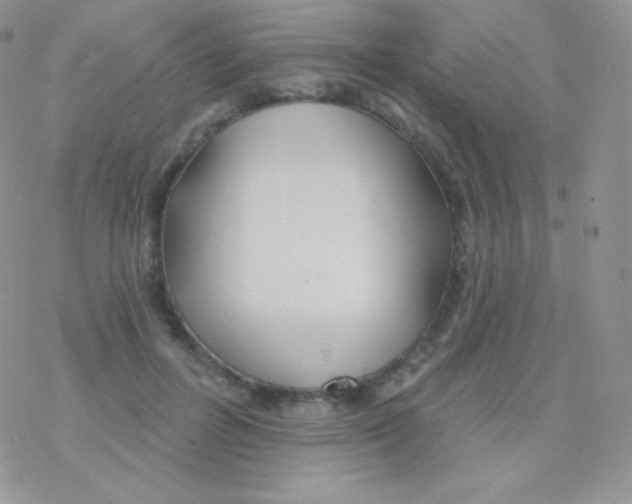 X0000077370600200611171951