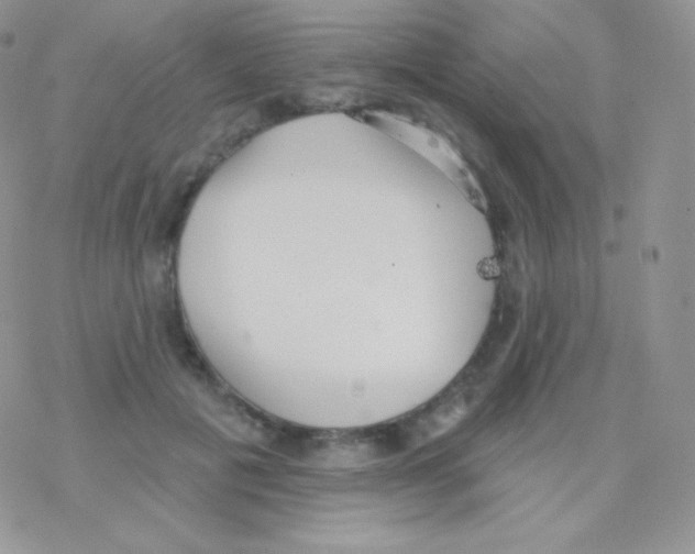 X0000077370601200611171951