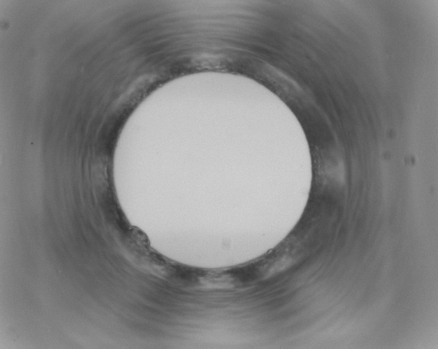 X0000077370603200611171951