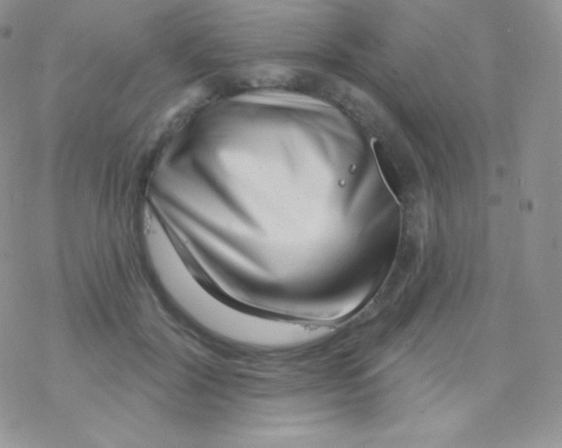 X0000077370604200611171951