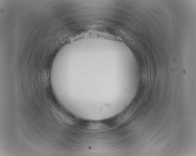 X0000077370605200611171951