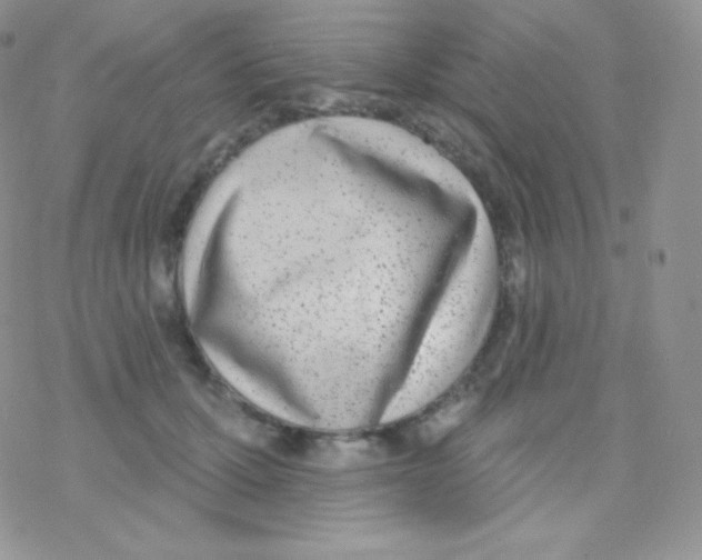 X0000077370607200611171951