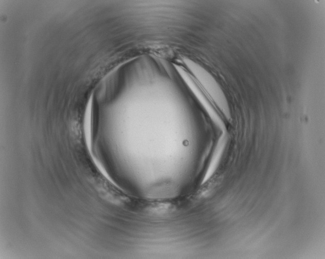 X0000077370609200611171951